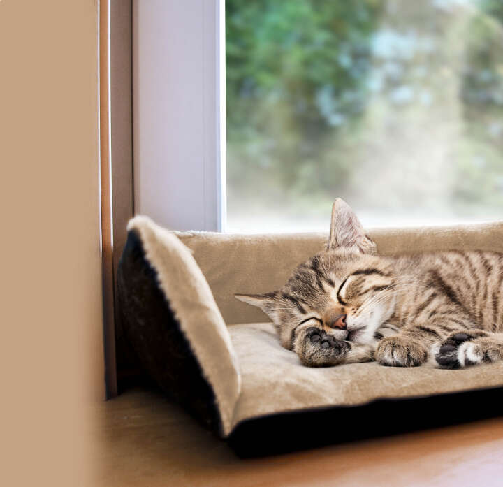 petlando Windowchiller